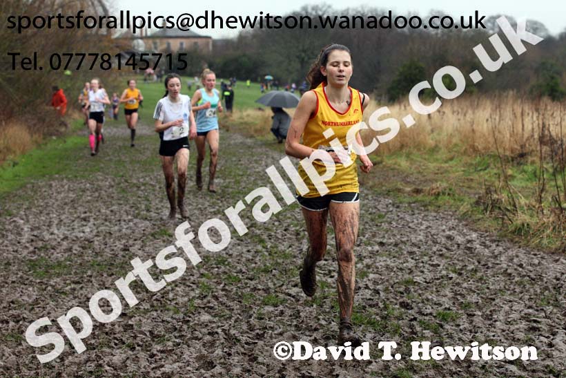 Intermediate girls Northern Inter Counties Schools Cross Country, Stockton. Photo: David T. Hewitson/Sports for All Pics